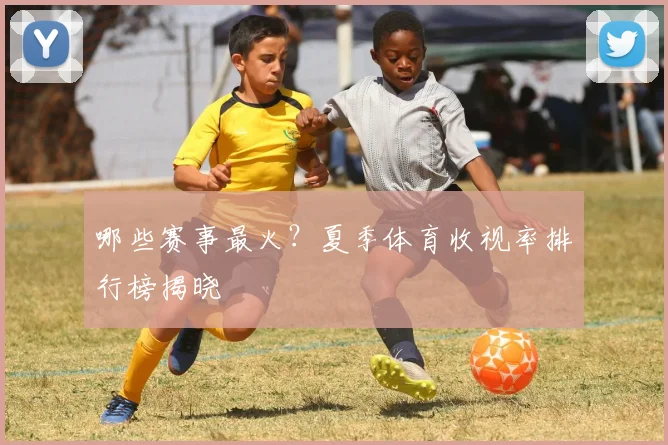 哪些赛事最火?夏季体育收视率排行榜揭晓